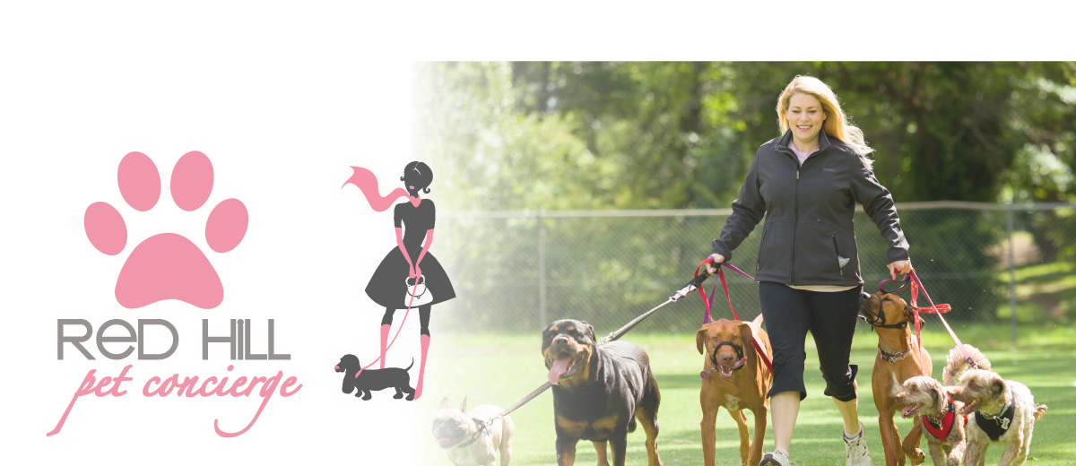 Canberra Pet Care Dog Walking Pet Sitting Red Hill Pet Concierge